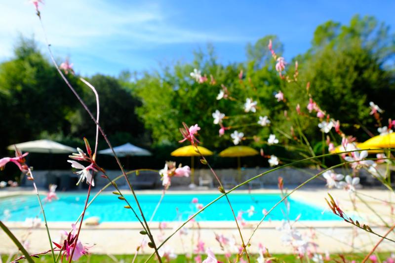 Herrlich großzügiger Pool