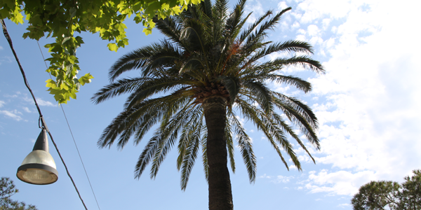 Sainte-Maxime, das ideale Reiseziel für einen Familienurlaub!